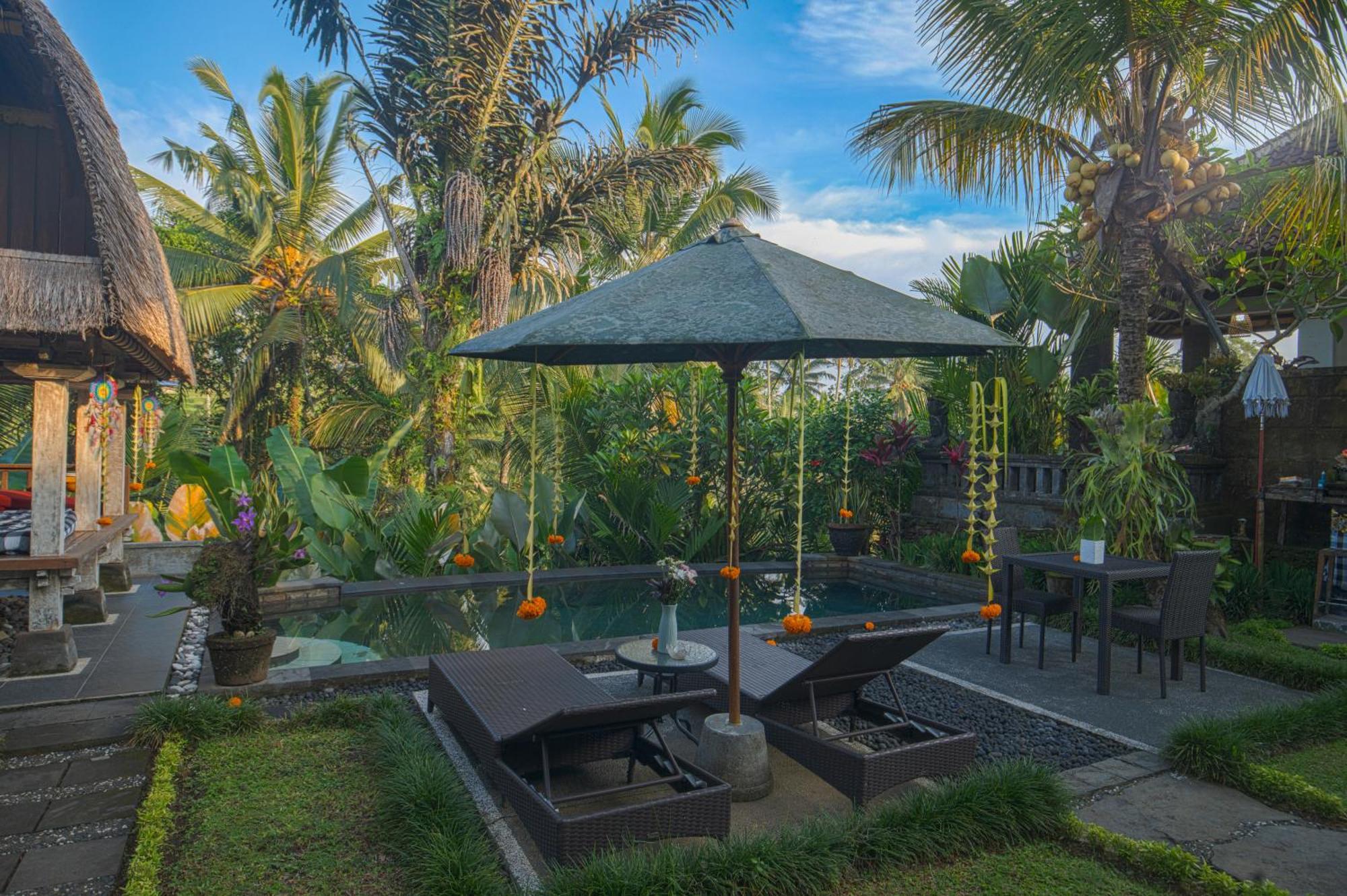 Taluh Bebek Ubud Private Villas Buitenkant foto