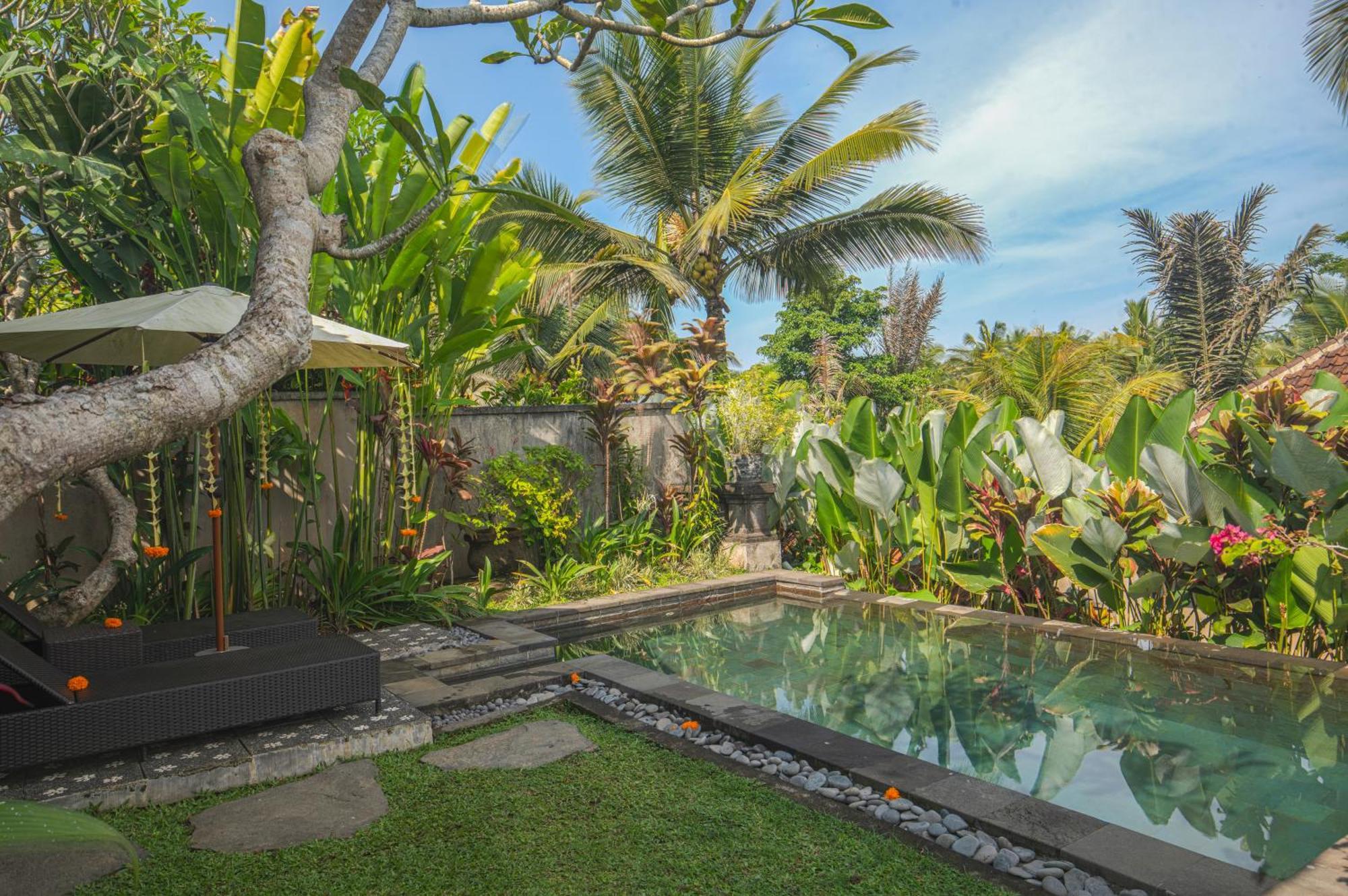 Taluh Bebek Ubud Private Villas Buitenkant foto