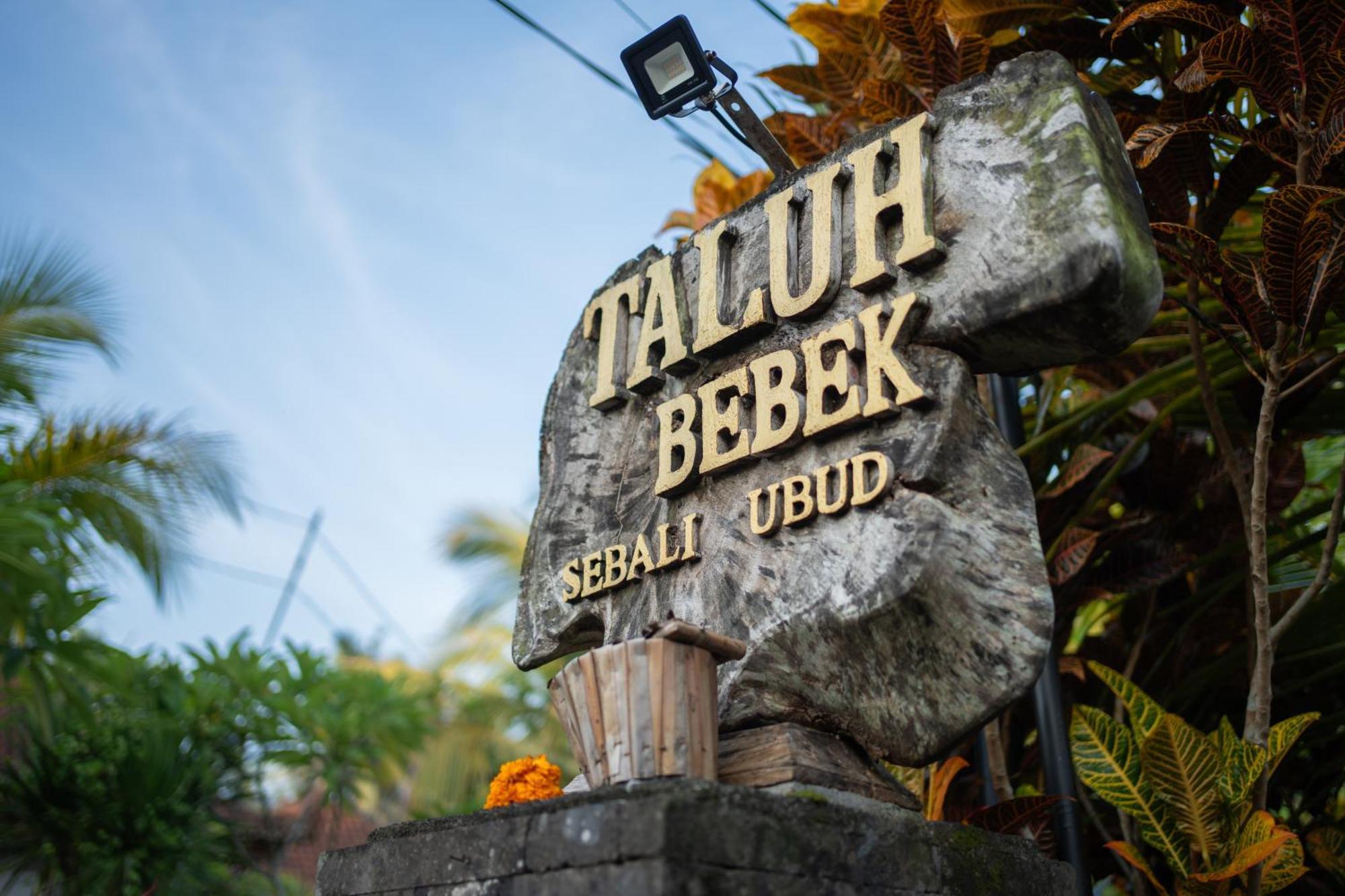 Taluh Bebek Ubud Private Villas Buitenkant foto